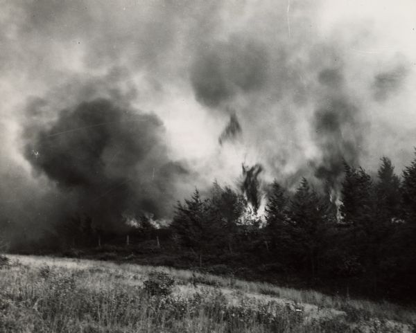 View of a forest fire taken from an adjoining field. A fence separates the field from the burning trees.