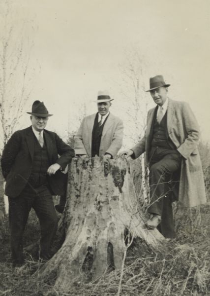 Three men, likely United States Resettlement Administration workers, pose around a stump.