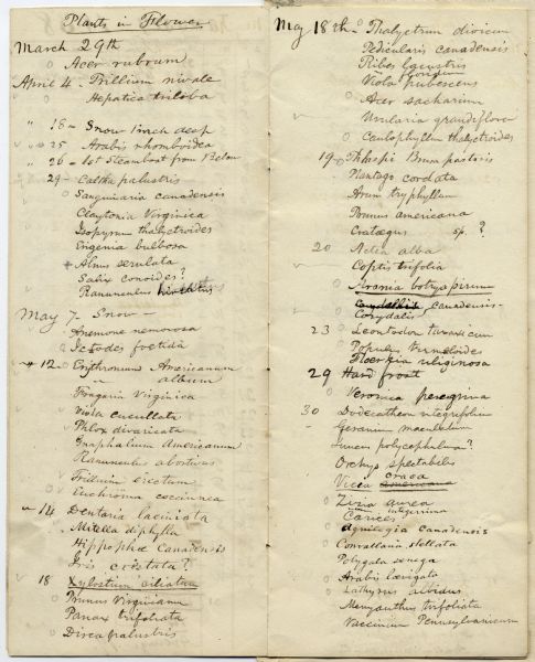 Page from Increase Lapham's 1838 botanical diary in which he listed plants he observed in flower stage.