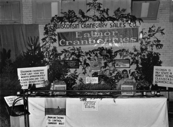 Cranberry exhibit at the Wisconsin State Fair. The display features crates of cranberries, a section of cranberry bog, cranberry products, and signs promoting cranberries. A hand rake is on display at left. The booth is staffed by a man seated behind the table sponsored by Eatmor Cranberries, Wisconsin Cranberry Sales Co.