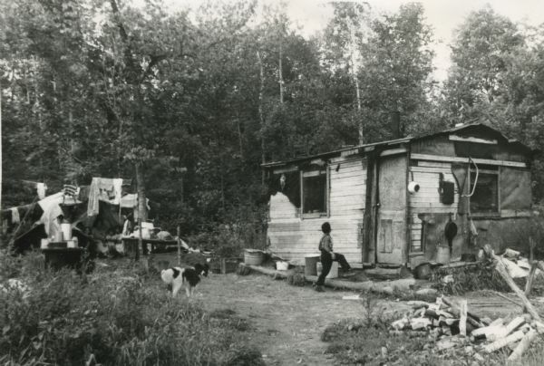 Young man and a dog in the yard outside a dilapidated shack in the woods that serves as a dwelling. Laundry hangs from a line at left.