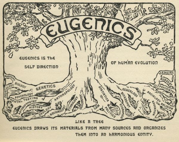 Drawing of a tree with a banner over it reading <i>Eugenics</i>. The roots of the tree are labeled with sciences and fields connected to eugenics. Text on the image reads, "Eugenics is the self direction of human evolution," and "Like a tree, eugenics draws its materials from many sources and organizes them into an harmonious entity."