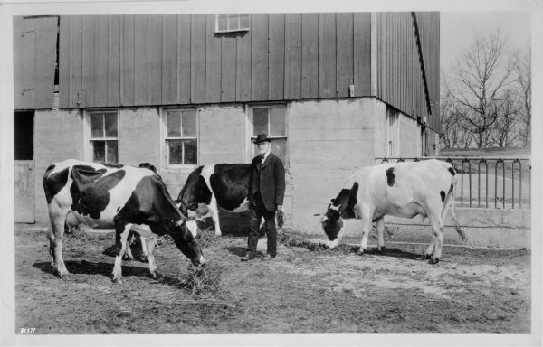 Dr. Stephen Moulton Babcock with dairy cows at the University of Wisconsin barns.