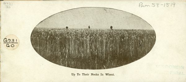 Oval-framed image showing three men standing in a wheat field. The wheat is so tall that only the men's heads are visible.