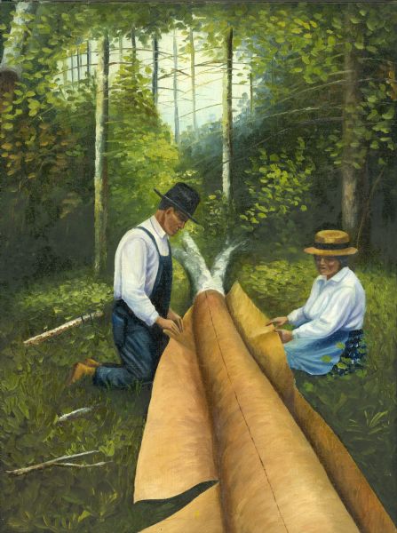 An Ojibwa man and woman peel bark from a tree to use in the construction of a canoe.