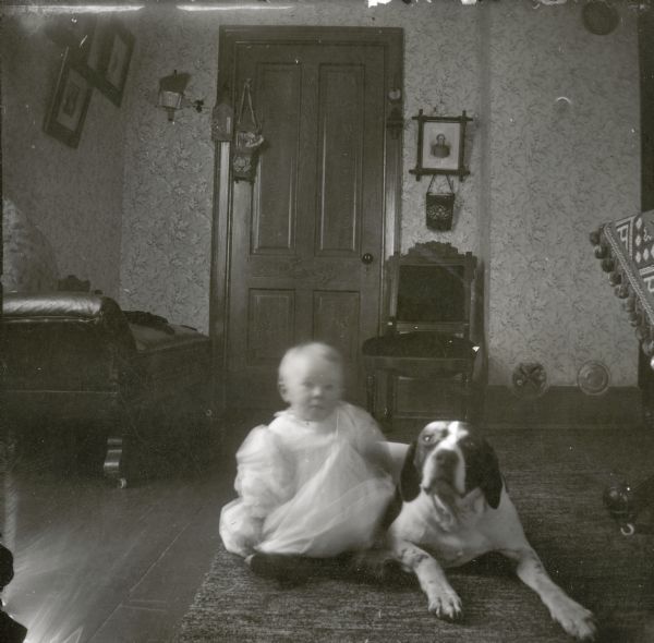 Indoor portrait of a toddler wearing a white dress sitting on a carpet on the floor with a dog.
