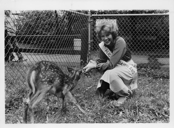 Outdoor portrait of an unidentified Alice in Dairyland winner, wearing her sash and crown and smiling while crouching in an enclosure feeding a fawn. A young boy stands on the sidewalk on the left beyond the fence.
