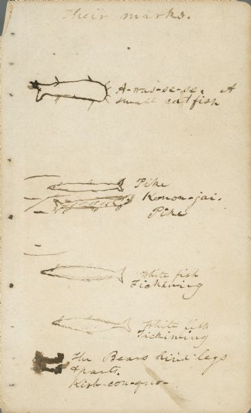 Sketches of Native American marks in James Doty's travel journal. Most of the marks represent different types of fish.