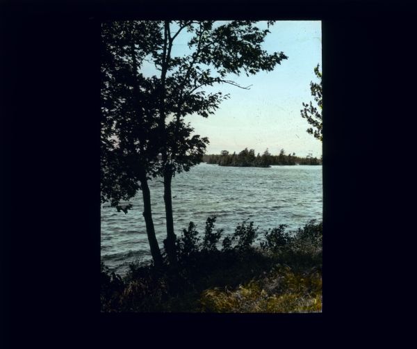 View from shoreline of a lake. Trees and plants are in the foreground, and across the water may be islands as well as the far shoreline, which are tree-covered.