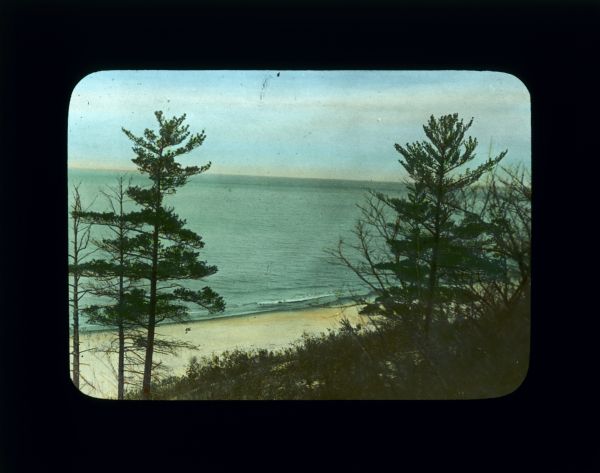 View down hill through pine trees of a sandy shoreline along Lake Michigan.