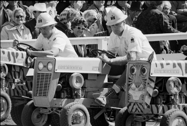 Two men wearing helmets are lined up side-by-side on their Cub Cadet tractors in a performance of the "Wild Animal Act." Two of the three Cub Cadet tractors in the foreground are painted like tigers. A crowd is watching from behind a fence in the background.