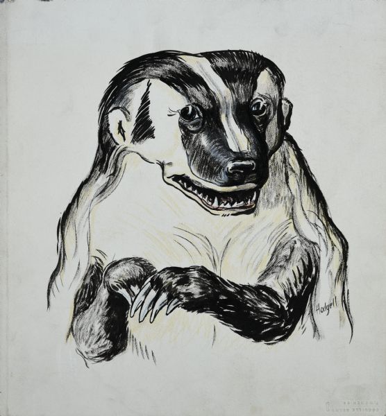 Illustration of a badger.