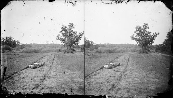Stereograph image of the body of Schuyler Gates near the mouth of Hurlbut Creek. The body is laying between the ruts of a rugged dirt road.