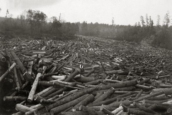 Log jam, perhaps on the Black River or the Chippewa River in the Black River Falls area.