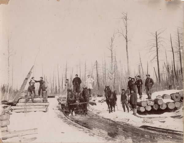 Winter logging operations in Door County. Men are posing on a sled pulled by horses, and piles of logs are on either side of an icy road.