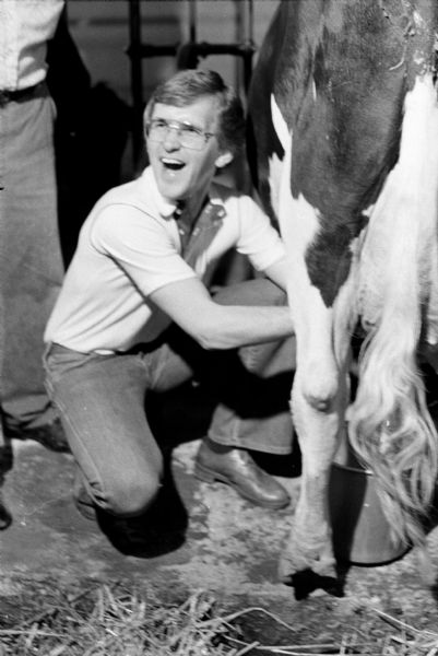 U.S. Congressman, Steve Gunderson, milking a cow at an AG Co-Op, the Theron Paulson farm.