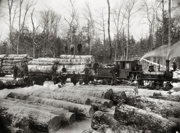 View across stacks of logs towards a group of men posing near or on a logging train. There are two teams of oxen near the stacked logs, and snow is on the ground. Steam is rising from the locomotive.
