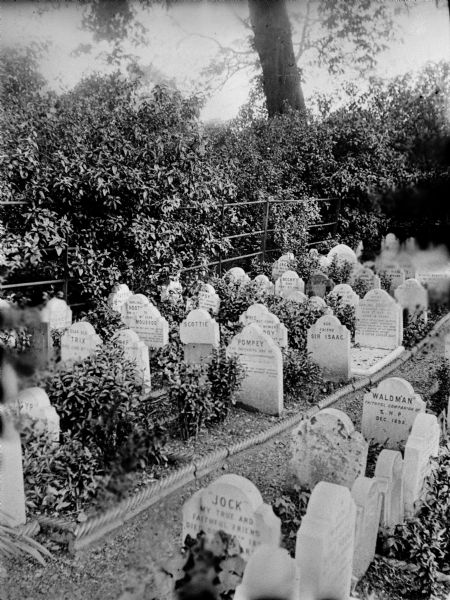 London, England. Cat and dog cemetery used by nobility.