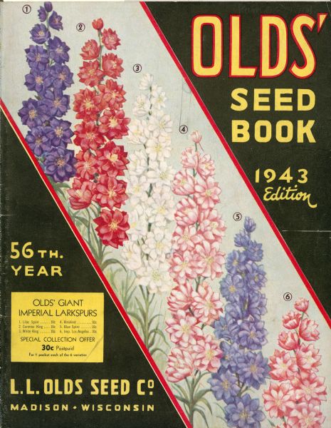 The cover design of the gardening catalog Old's Seed Book featuring an illustration of varieties of larkspurs.