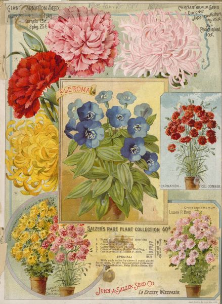 The cover design of the John A. Salzer Seed Company catalog featuring a variety of flowers, including carnations and chrysanthemums.