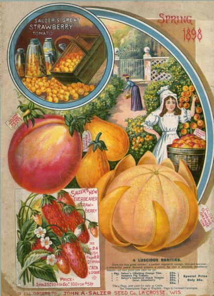 The back cover design of the John A. Salzer Seed Company catalog. The illustration features strawberries, tomatotos, and figs, and a woman and girl in a garden. Inset promotes the Salzer New Everbearer Strawberry.