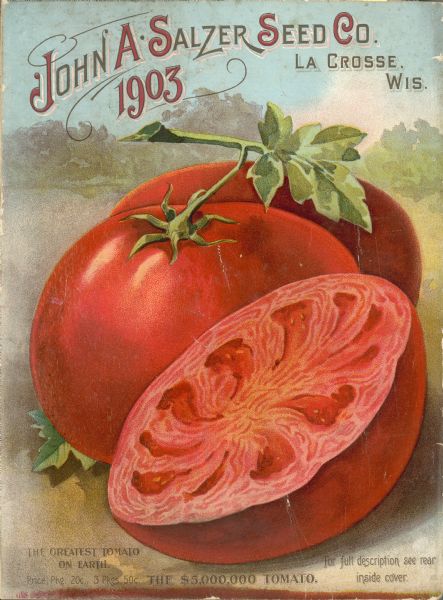 The back cover design of a John A. Salzer Seed Company catalog featuring "The Greatest Tomato On Earth."