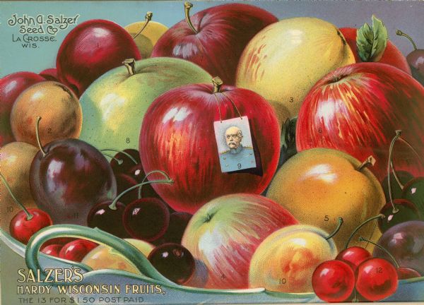 An illustration in the John A. Salzer's Seed Company catalog featuring a variety of fruit in  large bowl, including apples, cherries, etc. There is a small portrait of Otto von Bismarck in military uniform, and the number "9," hanging from the apple in the center.