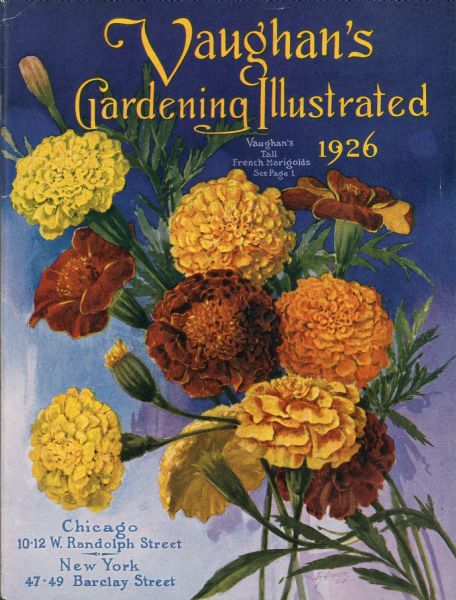 The cover design of Vaughan's Gardening Illustrated seed catalog. The illustration features a bouquet of Vaughan's Tall French Marigolds.