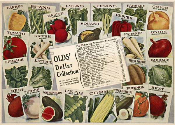 An advertisement on the back cover of Olds' Catalog from the L.L. Olds Seed Co. Features illustrations of packets of seeds for a variety of garden vegetables.