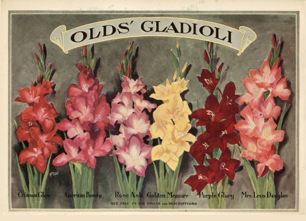A color advertisement featuring an illustration of a variety of Gladioli for sale in the Olds' Catalog from the L.L. Olds Seed Co.