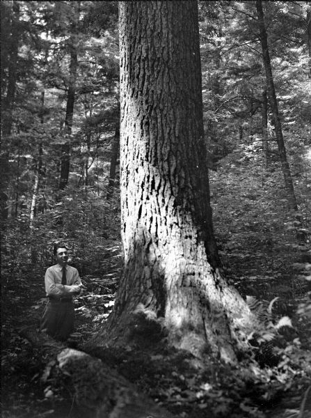 Ray Weber standing next to a large white pine on a Menominee Indian reservation.