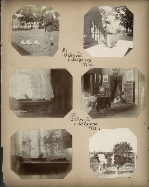 A scrapbook page featuring six photographs of squirrels, a cow, and a man feeding doves.
