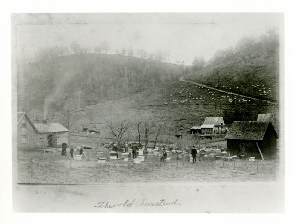 View towards a farm at the base of a hillside, with smoke coming out of a chimney on a farmhouse, and two outbuildings. A group of eight people are posing among what may be beehives. On the hillside, cows and sheep are grazing. The image appears to be reproduced from elsewhere and includes a written caption: "The old homestead." Photograph caption reads: Boscobel (vicinity) Wis. M M Rice farm.