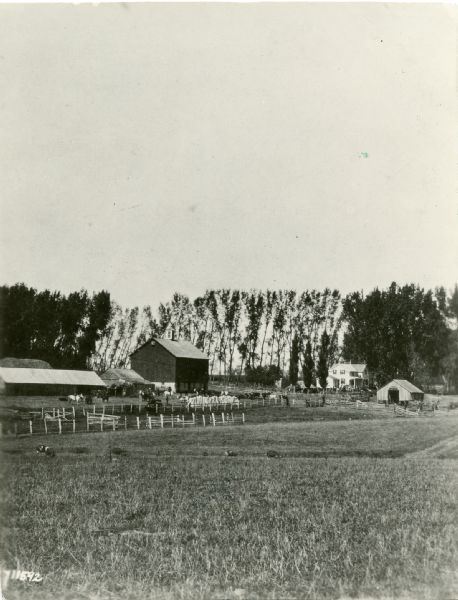 View across field towards a farm, with farmhouse, barn, outbuildings, and fences. The photograph appeared in Joseph Schafer's 1932 book <i>The Wisconsin Lead Region</i>, on a photographic plate between pages 144 and 145. In the book it is captioned: "A prairie farm, town of Mifflin, Iowa County, 1886."