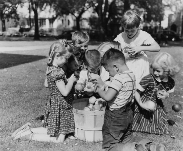Several children are gathered outdoors around a bushel basket filled with apples, taking as many apples as they can. Caption reads: "School children posed for Apple Institute promotion photo, 1953 Photo by Henry J. Rahmlow."