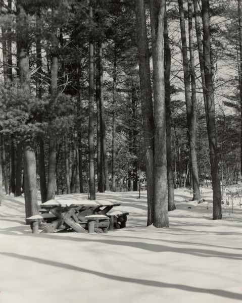View across snow towards a snow-covered picnic table among a stand of trees. Caption reads: "Winter quiet at Interstate Park St. Croix Falls Wis by Fred Leighton."