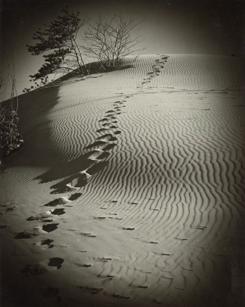 Looking up the sand dunes with footprints. A few trees are in the distance.