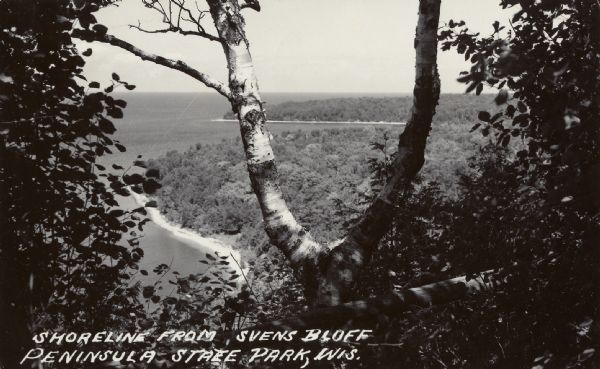 Elevated view through trees of the Lake Michigan shoreline. A birch tree with two trunks is in the foreground.