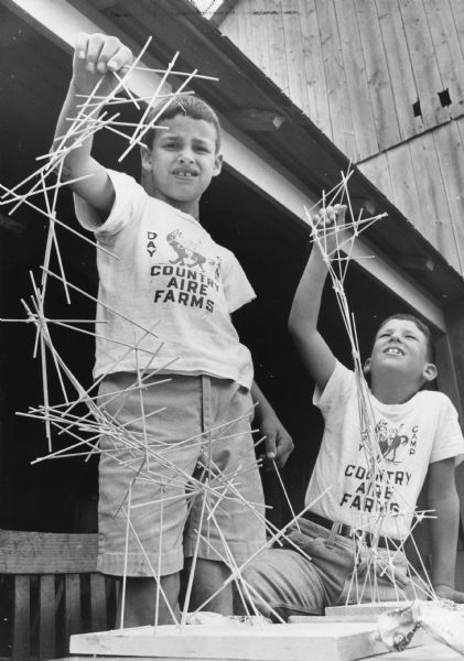 Two boys are posing with a wooden stick structure. They are wearing t-shirts for the Country Aire Farms Day Camp.