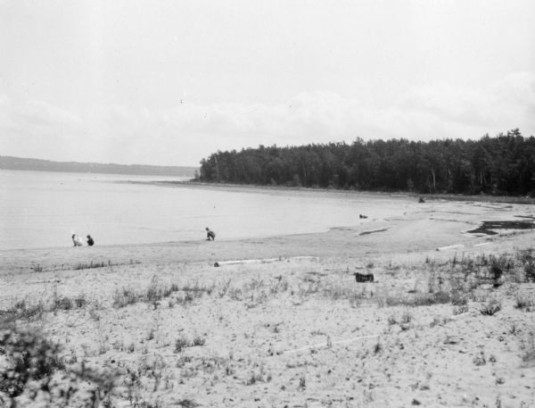 View across beach towards three children squatting along the shoreline. A grove of trees is on a peninsula in the distance.