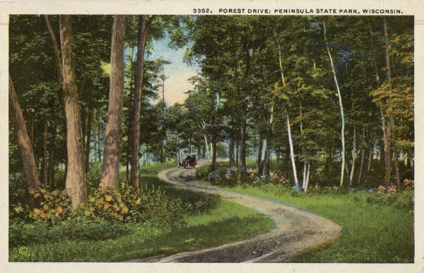 Chromolithographic postcard of a car driving along a curving dirt road in a forest. The postcard has been mailed to Mrs. John Donald, Prospect St. Madison, Wis., Univ. Heights. On the reverse is written: "We are experiencing these lovely drives in Door Co. Stayed in Ripon Sunday night & last night at Sturgeon Bay. Have been at Ephraim, Egg Harbor etc. Love, Helen H."