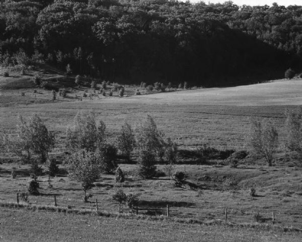 View across a field toward a wooded hillside. A fence is along the edge of the field. Caption reads: "Spring Green (vicinity) Wis May 20 1962 Sunny pasture against hillside in shadow."