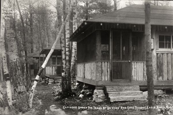 View of cabins at De Haas' Red Oaks Resort, close to St. Germain. The resort operated circa 1905-1965. The property was subdivided in 1966-1967.