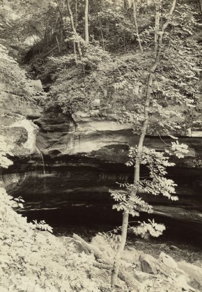 View of the entrance to Big Sand Cave, which according to the caption is located in Nelson Dewey State Park. This dates the image to before 1937, when the park was renamed Wyalusing State Park. One tree is visible in the foreground, and water is running down the rock face near the cave entrance.