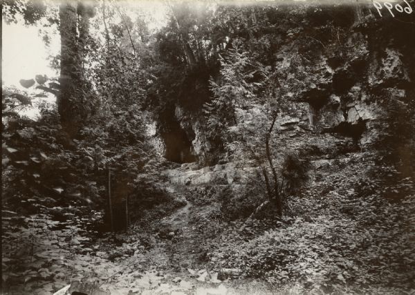 View of a cave surrounded by trees. Caption reads: "Maribel (vicinity) Manitowoc County Wis 1929 Caves in limestone rock."

These caves are possibly part of the current Cherney Maribel Caves Park, which was created in 1963.