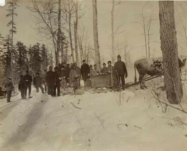 View up slope towards a group of men posing in the snow alongside a table with pots and dishes on it. An ox with a yoke and a pair of wooden staves is standing on the right just behind a tree.