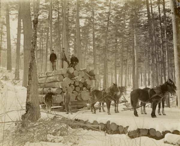 Five men are posing on or near a sled piled high with logs, which is being hauled by a team of four horses.