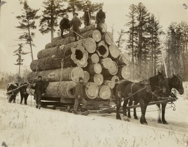 Group portrait of seven men posing on or around a pile of logs. Some of the men are carrying cant hooks. The logs are being hauled on a sled pulled by two horses. Two oxen are yoked behind the sled on the left. The number "11860" appears to be carved into the end of one of the logs.