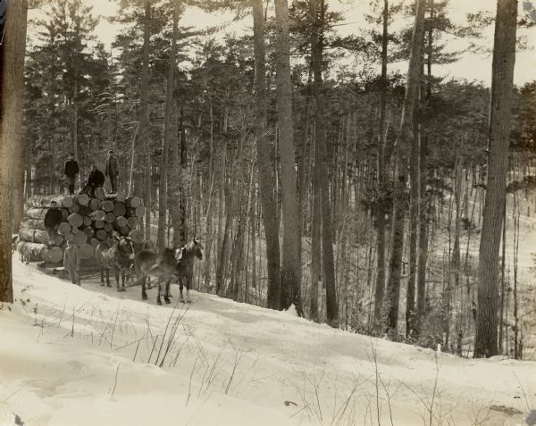View down snow-covered hill towards five men posing on or next to a haul of logs on a sled, which are being pulled by a team of four horses through trees.