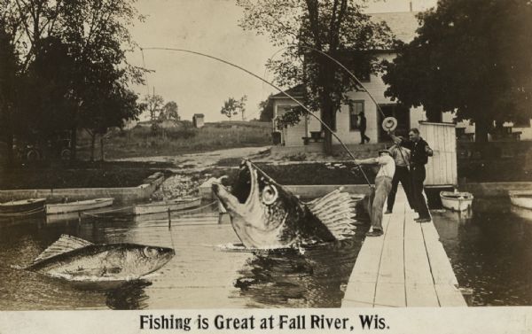 Tall-tale postcard showing three men fishing off a pier, with two of the men holding fishing poles and two gigantic fish rising out of the water. A building is in the background. Caption reads: "Fishing is Great at Fall River, Wis."